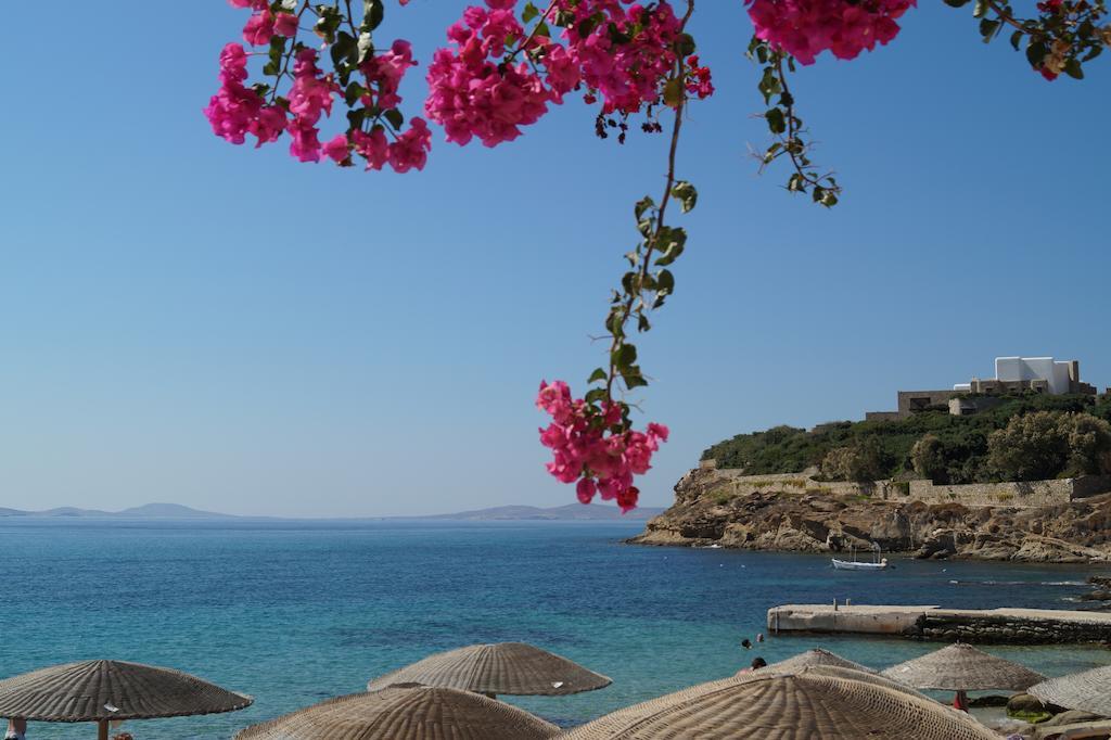 Amazing View Hotel Apartments Agios Stefanos  Buitenkant foto